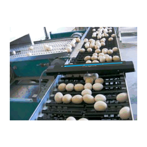 雞蛋計(jì)數(shù)器