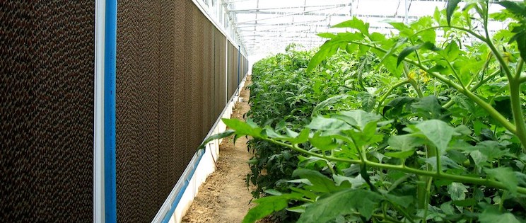 農(nóng)業(yè)加濕