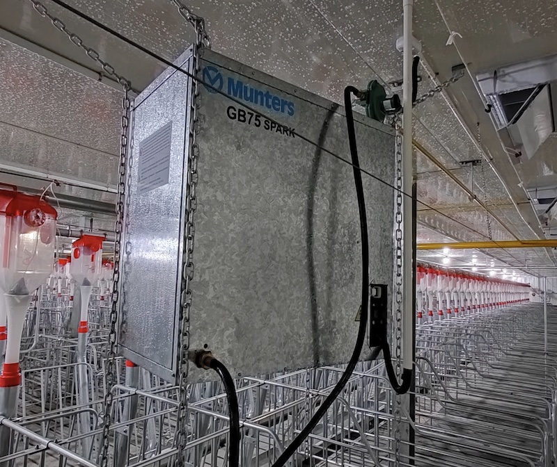 某25000頭正壓通風(fēng)豬場